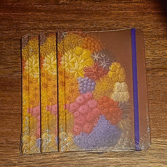 Libretas de arte molesky