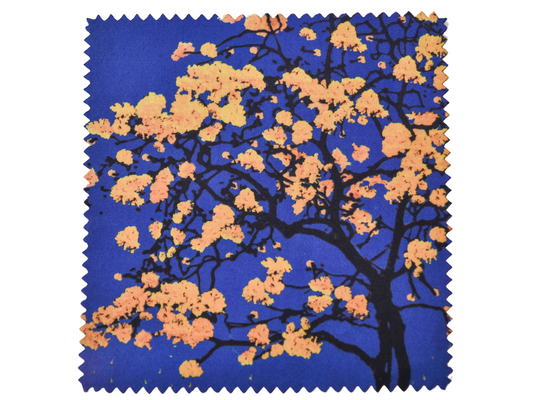 Pañuelo Limpia lentes