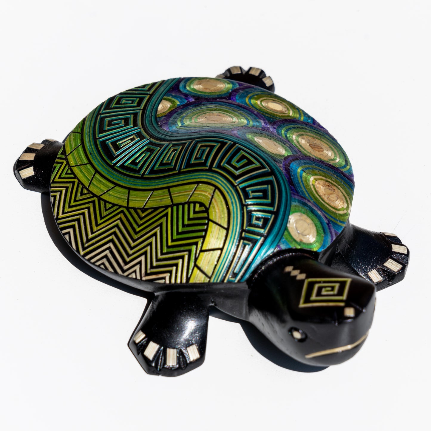 Tortuga Tamo