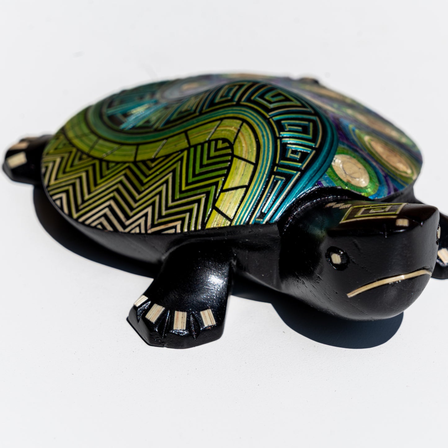 Tortuga Tamo