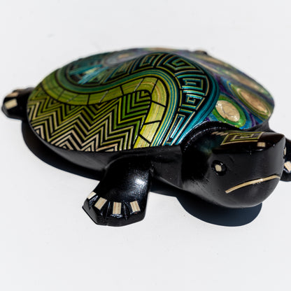 Tortuga Tamo