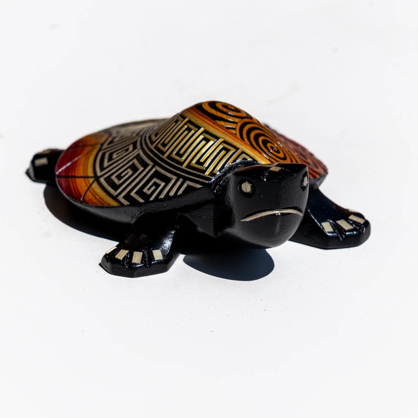 Tortuga Tamo