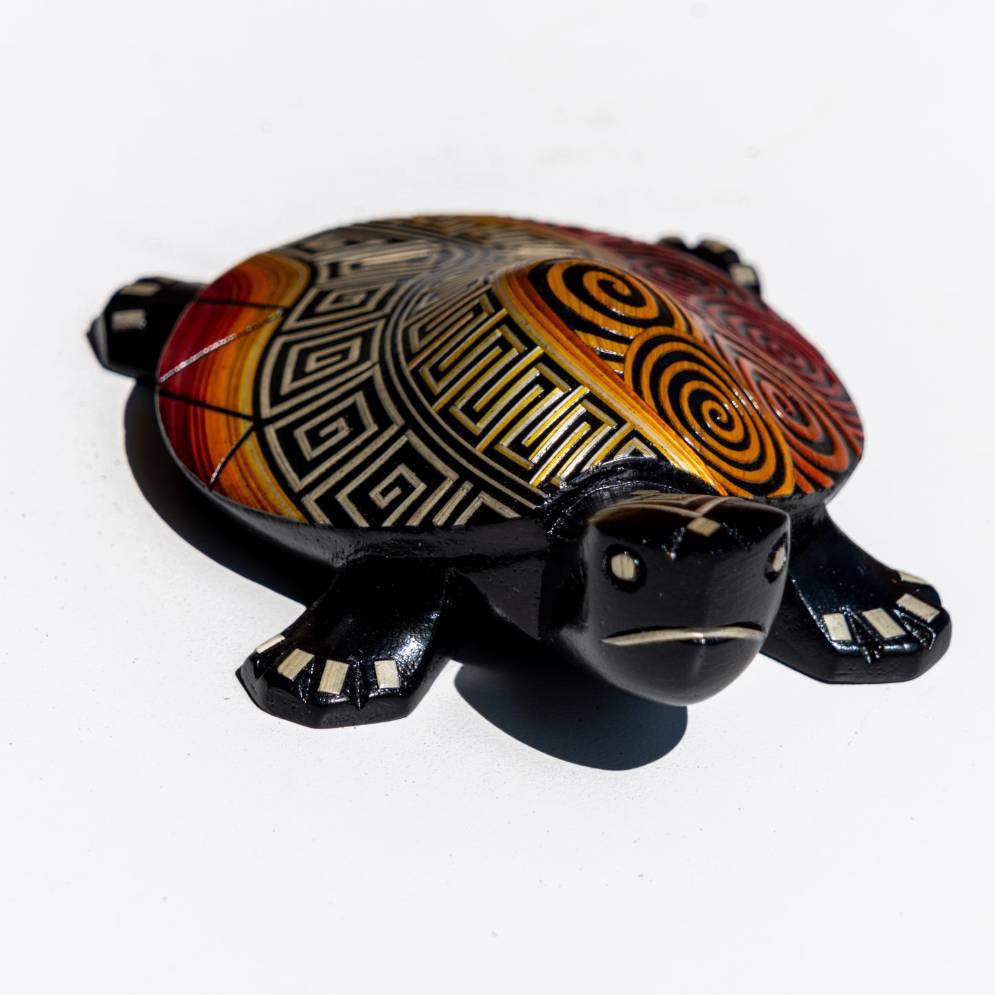 Tortuga Tamo